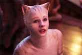 'Cats' - The Movie