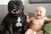Cute Dogs And Adorable Babies