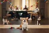Dogs Party
