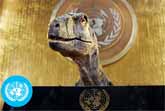 'Don't Choose Extinction' - United Nations PSA